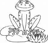 Free Printable Frog Coloring Pages For Kids sketch template