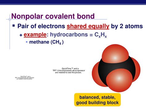 PPT - The Chemistry of Life PowerPoint Presentation, free download - ID:3978572