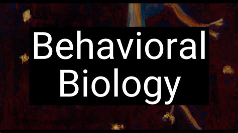 Beyond Instinct with Robert Sapolsky: Human Behavioral Biology - YouTube