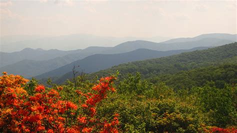 Great Smoky Mountains Hiking – Luxury Camp & Lodge Based | REI Adventures