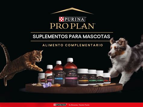 Nestlé Purina lanza una gama de suplementos Pro Plan® para mascotas