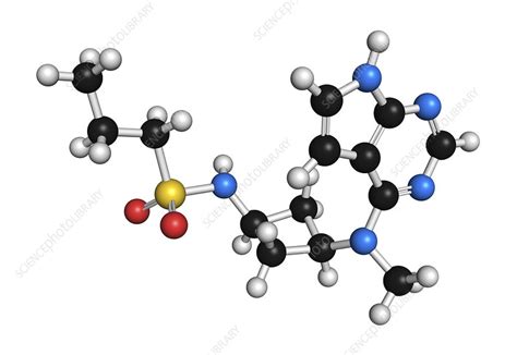 Abrocitinib atopic dermatitis drug molecule, illustration - Stock Image - F032/9518 - Science ...