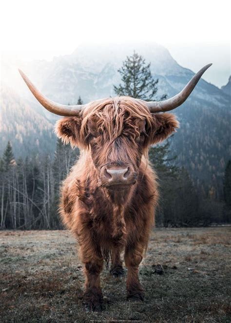 an animal that is standing in the grass with long horns on it's head