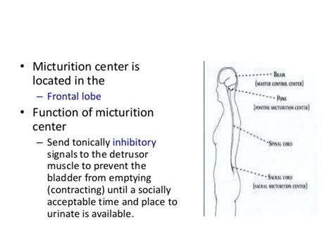 Fowler’s syndrome