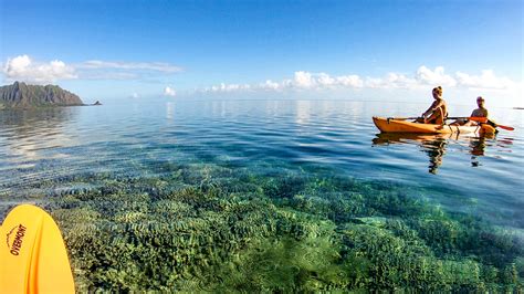 Kaneohe Bay kayak and snorkeling gear rental - Gallery