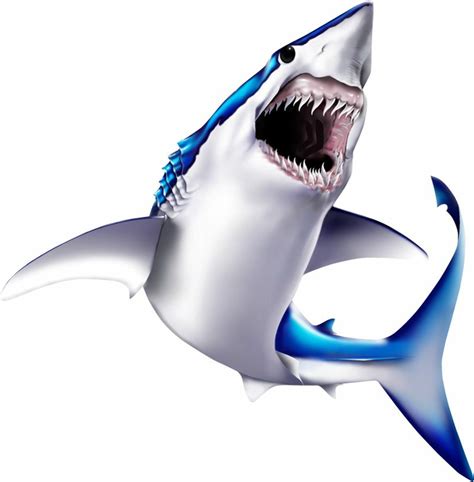 Download High Quality shark clipart mako Transparent PNG Images - Art Prim clip arts 2019