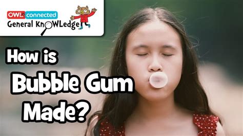 General KnOWLedge: How is bubble gum made? - Owl Connected