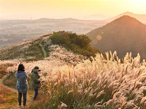 Saebyeol Oreum, South Korea http://travel.nationalgeographic.com/travel/365-photos/saebyeol ...