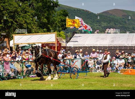 Horse display arena hi-res stock photography and images - Alamy