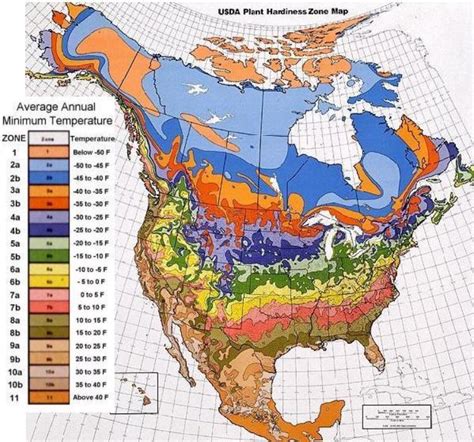 USDA Hardiness Zone Map - St. Clare Heirloom Seeds - Heirloom and Open Pollinated Vegetable ...