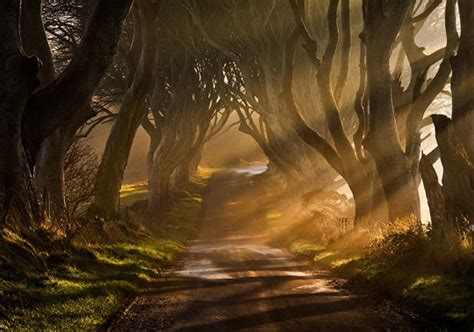 10 Selected Masterpieces of Natural Light Photography | Orphicpixel