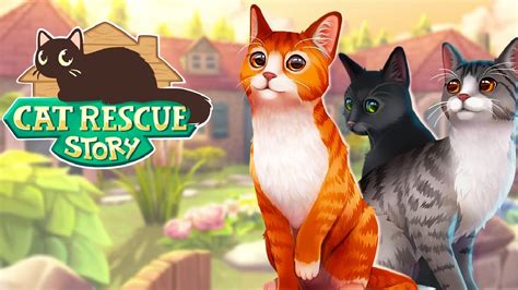 Cat Rescue Story Gameplay - YouTube