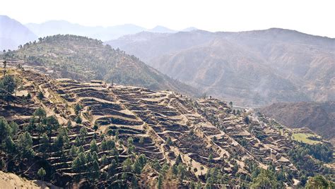 Ranikhet, India: Your handbook to 'Land of the Queen' - Himalaya Shelter