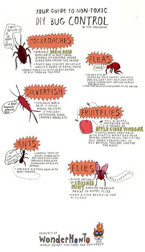 Pest Identification: Marine Pest Identification Guide