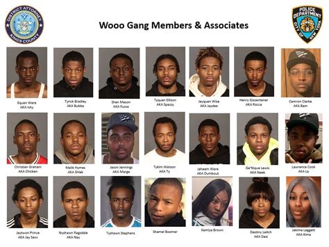 34 Members of 2 Brownsville Gangs Arrested - Bklyner