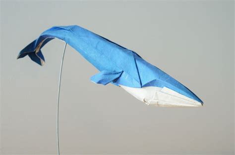 Blue Whale 2014 | Whale origami, Origami art, Origami animals