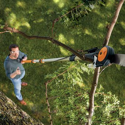 Easily Cut High Branches with Fiskars’ New Tree Pruner - Fiskars Brands ...