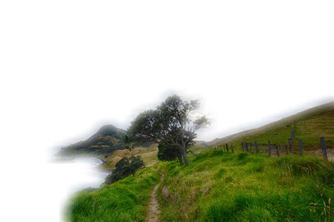 Download Landscape, Lawn, Grass. Royalty-Free Stock Illustration Image - Pixabay