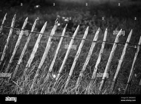 sloping wooden garden fence with meadow Stock Photo - Alamy