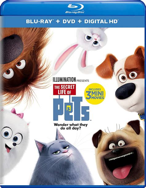 The Secret Life of Pets [USA] [Blu-ray]: Amazon.es: Louis C.K., Kevin Hart, Louis C.K., Kevin ...