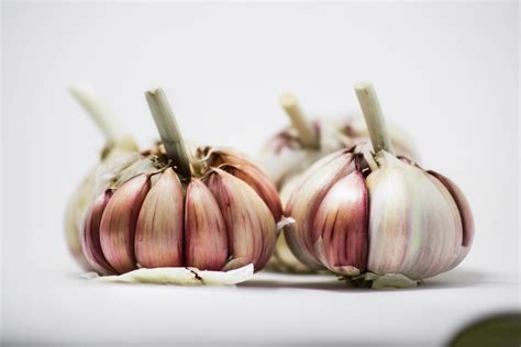 Aged Garlic Extract for Blood Pressure and Cholesterol Management ...