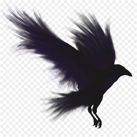 Free Raven Silhouette Flying, Download Free Raven Silhouette Flying png ...