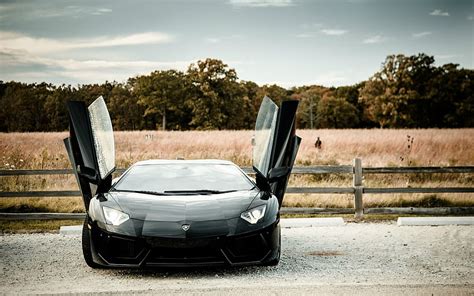 Lamborghini Aventador Open Door, lambo butterfly doors HD wallpaper ...