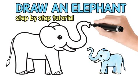 How to Draw an Elephant – Step by Step Elephant Drawing Tutorial | Draw An Elephant - YouTube