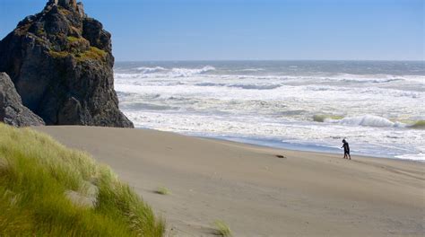 Visit Gold Beach: 2024 Travel Guide for Gold Beach, Oregon | Expedia