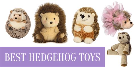 Best Hedgehog Toys - Hedgehogged