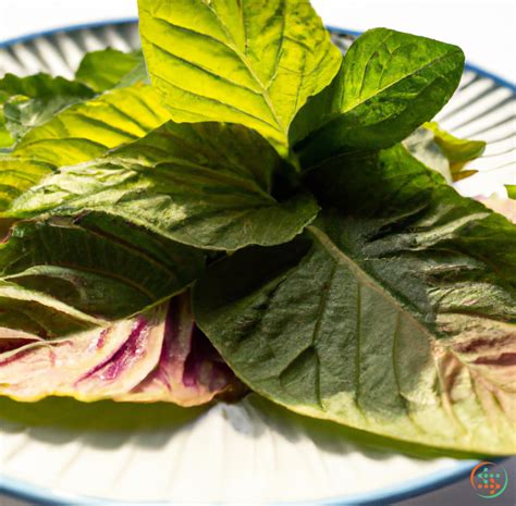 Amaranth Leaves: Complete Nutrition Data | Food Fact