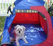 31 Dog Tents ideas | dog tent, pooch, dog crate