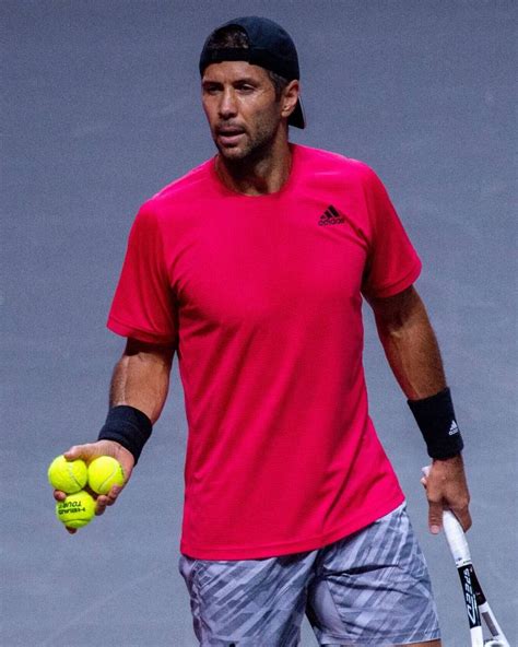 Fernando Verdasco - Tennis player - ATP - Tennis Majors