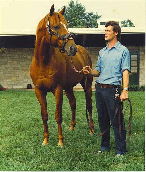 Affirmed | Thoroughbred horse racing, Thoroughbred horse, Horses