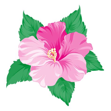 Hibiscus Flower Pattern Printable | Best Flower Site