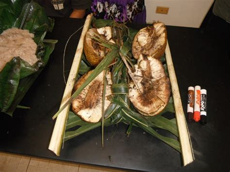 Traditional food dishes of Micronesia