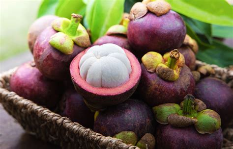 6 Health Benefits of Mangosteen