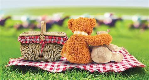 Teddy Bears Picnic | Events | The Weekend Edition