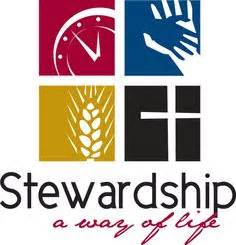 30+ Best Stewardship theme ideas images | stewardship, words, inspirational quotes