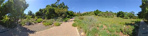 Santa Barbara Botanic Garden - SantaBarbara.com