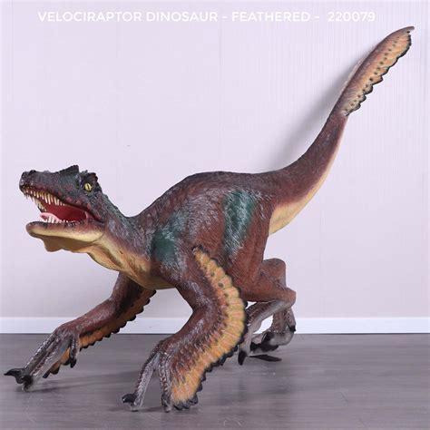 Velociraptor Feathers Discovery