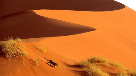 Namibia Wallpapers - Top Free Namibia Backgrounds - WallpaperAccess