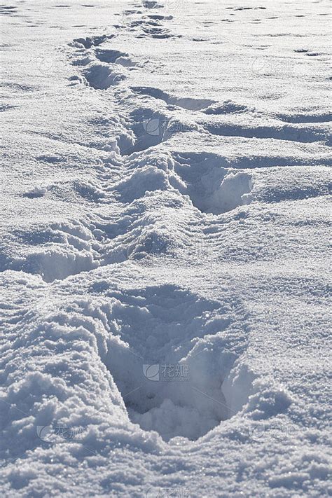 雪地上的脚印