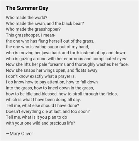 Mary Oliver "The Summer Day" | Mary oliver, Inspirational quotes for women, Quotes to live by