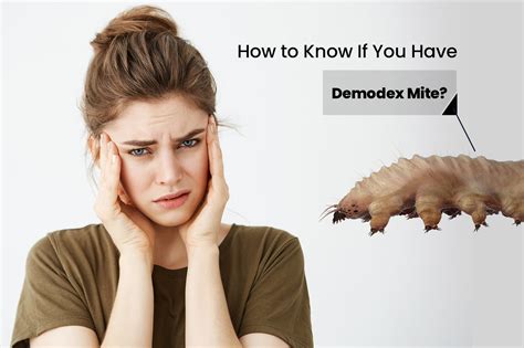 How to Know If You Have Demodex Mites? | Ungex