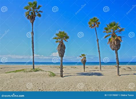 Mandalay Bay Beach Oxnard California Palm Trees Stock Image - Image of ...