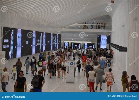 Oculus of the Westfield World Trade Center Transportation Hub in New York Editorial Image ...