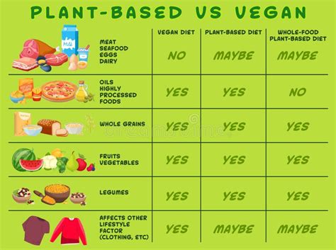 Plant-based Whole-food Diet Vs Vegan Diet. Horizontal Banner Stock ...