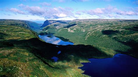 Newfoundland Wallpapers - Wallpaper Cave