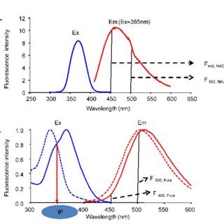 Identification of isosbestic points. (A) The isosbestic point at 450-nm... | Download Scientific ...